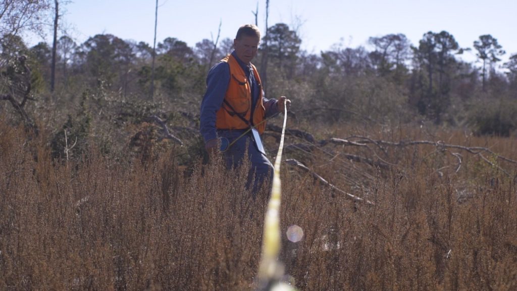 a field worker makes a plan for afforestation, Acorn Outdoors, Lufkin, TX