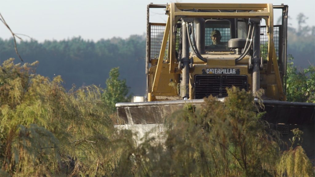 caterpillar in operation Acorn Outdoors Lufkin Texas