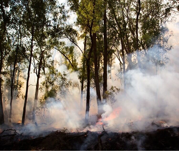 early morning view of a controlled burn