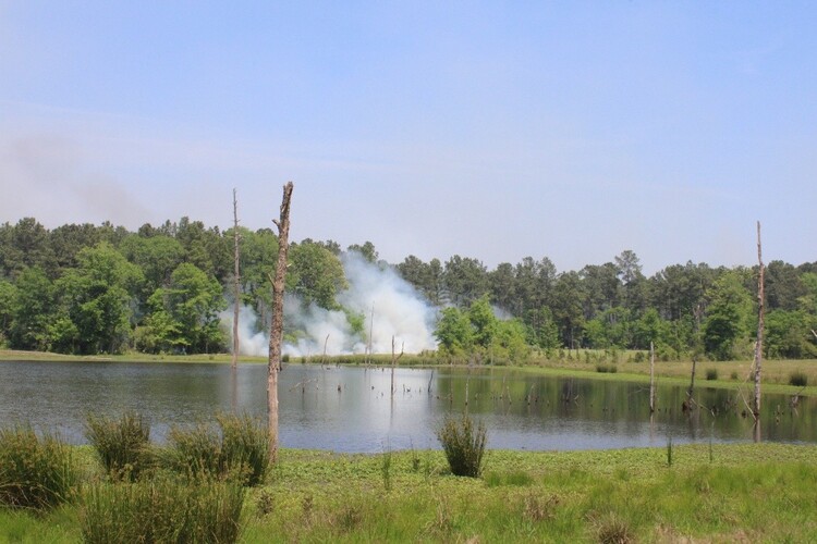 view across the lake of a controlled burn