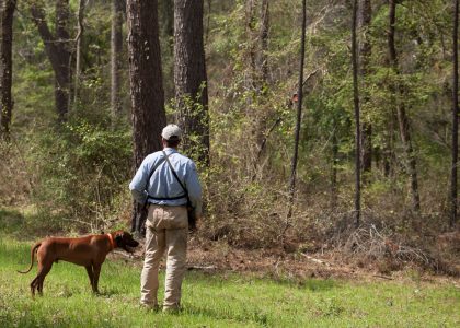 a man with a hunting dog in the forest