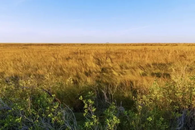 Screenshot-2025-08-27-154754-2-min-min